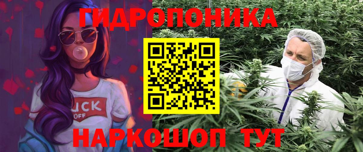 Заволжье  Марихуана тримм  Вход с VPN  Каннабис сатива 